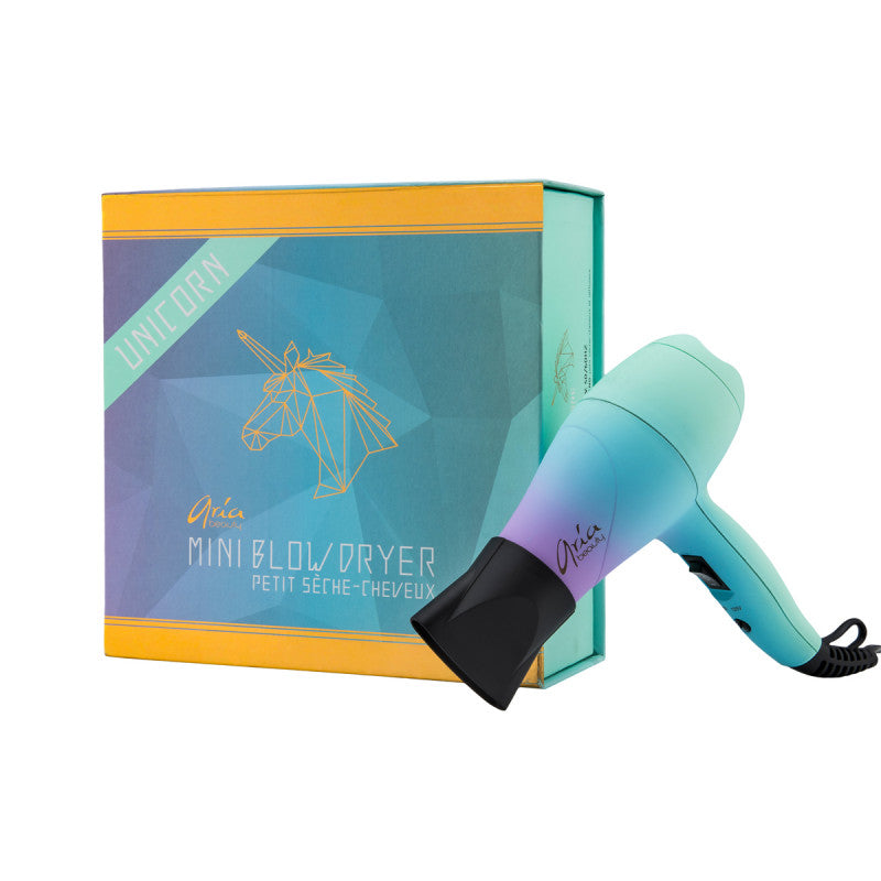 Mini Blowdryer